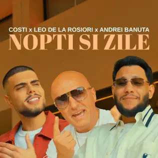 Nopti si zile